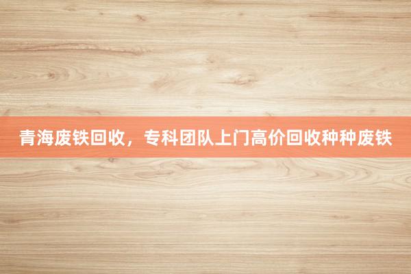 青海废铁回收，专科团队上门高价回收种种废铁