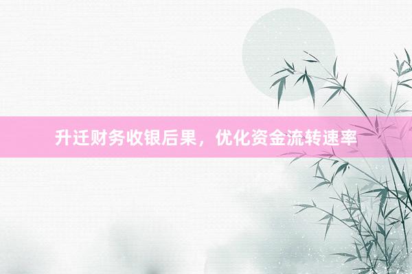 升迁财务收银后果，优化资金流转速率