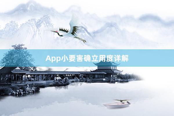 App小要害确立用度详解