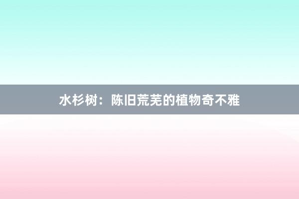 水杉树：陈旧荒芜的植物奇不雅